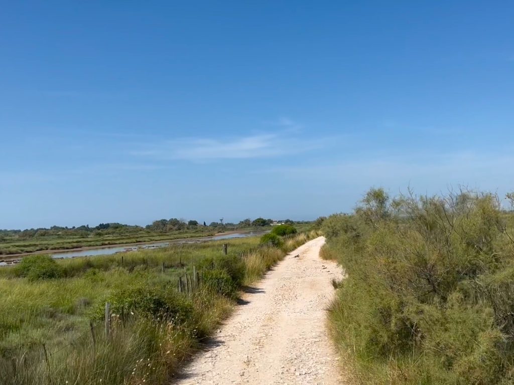 Chemin blanc en Petite Camargue au bord des marais lors d’un safari 4x4 Camargue Sauvage