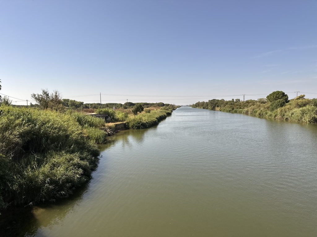Canal aux Portes du Vidourle bordé de végétation lors d’un safari 4x4 Camargue Sauvage